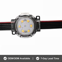 Lumières de Noël extérieures 24V 35mm, prix d'usine, lumières ponctuelles étanches RGB pour les fêtes, lumières LED pixel