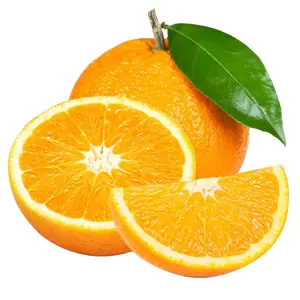 Best Buy Premium-Qualität 100 % Natürliche und leckere frische Valencia- und Navel-Orangen aus Ägypten Herkunft Exporteur Zitrusfrüchte