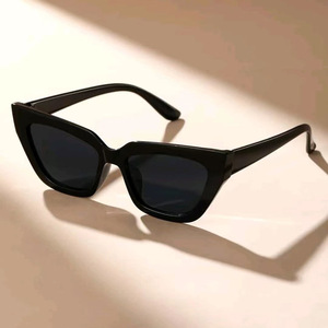 Sunway Eyewear 2024 Cat Eye Womens Sunglasses Manufacturer Custom Designer Logo Women Shield Ladies Sun Glasses Woman Sunglass - Product Image 2