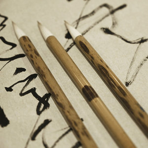 Ensemble professionnel <span class=keywords><strong>de</strong></span> pinceaux et <span class=keywords><strong>de</strong></span> stylos <span class=keywords><strong>de</strong></span> calligraphie traditionnelle chinoise avec poils mixtes et manche en bois - Product Image 1
