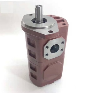 Yuanyi Hydraulic Gear <b>Pump</b> CBGJ2080/2080 Double CBGJ High Oil <b>Pump</b> 280 cm Displacement 5 HP 300 <b>bar</b> Operating Pressure - Product Image 2
