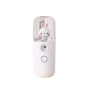 Humidificateur Facial à Vapeur Rechargeable par USB 30ml Mini Mignon Nano Pulvérisateur de Brume Humidificateurs Ultrasoniques