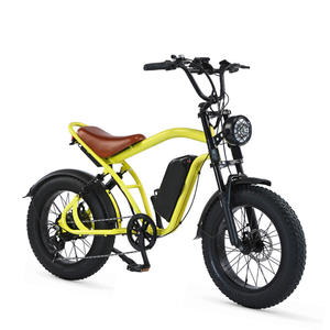 Vélo électrique EU AU US TST Ebike longue portée, grande capacité, pneus larges, alliage, 750w, 15.6ah, vélos cargo électriques - Product Image 5