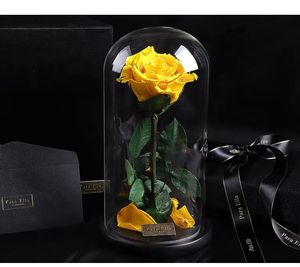 Rosas Eternas Preservadas 2025 Years Every Love 7-8, 42 Colores, Rosas Reales Estabilizadas para Siempre en Cúpula de Cristal, Ideales para Acción de Gracias - Product Image 2