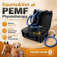 Appareil de stimulation magnétique pratique pour la relaxation musculaire, machine de massage PEMF pour animaux, formation gratuite, pour clinique vétérinaire