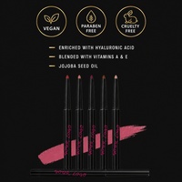 Crayon à lèvres waterproof twist-up, volumisant, longue tenue, anti-bavures, haute pigmentation, rétractable, logo personnalisé OEM