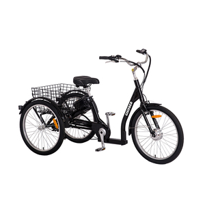 Tricycle électrique pour adultes avec <span class=keywords><strong>moteur</strong></span> <span class=keywords><strong>central</strong></span>, batterie au lithium et commande électronique intelligente - Product Image 3