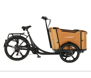 Vélo cargo électrique à trois <span class=keywords><strong>roues</strong></span> de style <span class=keywords><strong>vintage</strong></span> avec moteur de 250W chargement frontal 8 vitesses - Product Image 2