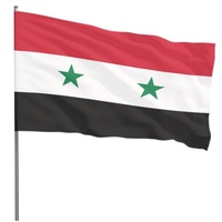 Banderas de Poliéster Personalizadas con Estrellas Rojas, Amarillas y Verdes de Siria, Arabia Saudita y Asiria, Tipo MLB, para Exteriores, al Mejor Precio, Se Aceptan Pedidos Pequeños
