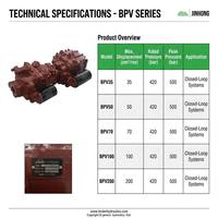 Pompe hydraulique principale tandem BPV haute efficacité – Remplacement direct usine, livraison rapide pour les distributeurs mondiaux de machines