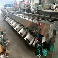 Commerciële roltype sorteermachine voor blauwe bessen, appels, citrusvruchten, hoogwaardige sorteermachine voor groenten zoals komkommer en wortel