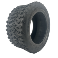 Nouvelle trottinette électrique grande taille avec pneu tubeless 225/40-10, moto électrique Citycoco pour adulte, pièces de rechange tout-terrain
