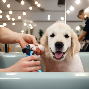 Cortauñas LED Confiable para Mascotas con Protector de Seguridad para el Cuidado y Limpieza de Uñas de Perros y Gatos - Product Image 1