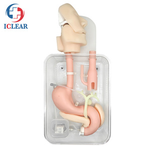 Modelo de entrenamiento de endoscopia de estómago de alta fidelidad, para entrenamiento de GASTROSCOPIO - Product Image 6