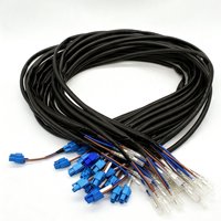 Kabel Harness Tugas Berat Khusus dengan Konektor Plastik Biru & Terminal Berinsulasi Transparan untuk Peralatan & Perlengkapan Rumah Tangga