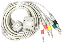 Appareil ECG vétérinaire portable pour hôpital, clinique, animal, numérique, 3/6 canaux, moniteur ECG pour animaux de compagnie