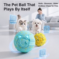 Bola Mainan Hewan Peliharaan Elastis Bercahaya, Dapat Dikendalikan Jarak Jauh, Anti Air, untuk Anjing Kucing, Mengatasi Kebosanan, Grosir