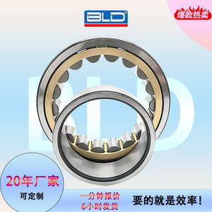 Rodamientos de rodillos cilíndricos ELD NJ206EM 30x75 mm P0 con jaula de latón de precisión para motores eléctricos - Product Image 3