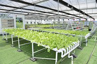 Systèmes hydroponiques industriels NFT pour la culture en intérieur, canaux horizontaux en PVC, systèmes de culture NFT pour les légumes en serre