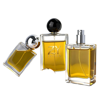 Flacon de parfum de luxe givré carré vide 30ml 50ml 100ml, emballage coloré pour diffuseur à bouchon à vis