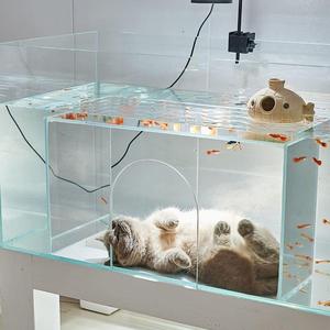 <span class=keywords><strong>Aquarium</strong></span> pour chat en verre ultra-blanc de 8 mm avec vue panoramique sur la mer, écologique, 220 V, pour utilisation en intérieur/extérieur - Product Image 5