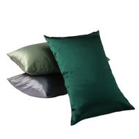 Taie d'oreiller en soie personnalisée avec fermeture éclair cachée 50*76cm 100% soie de mûrier 16-30 momme Taie d'oreiller en soie de haute qualité