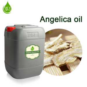 Óleo de Raiz de <span class=keywords><strong>Angelica</strong></span> Chinesa (Danggui) 100% Puro e Orgânico - Óleo Essencial Natural de <span class=keywords><strong>Angelica</strong></span> <span class=keywords><strong>Sinensis</strong></span> para Compra em Atacado - Product Image 3