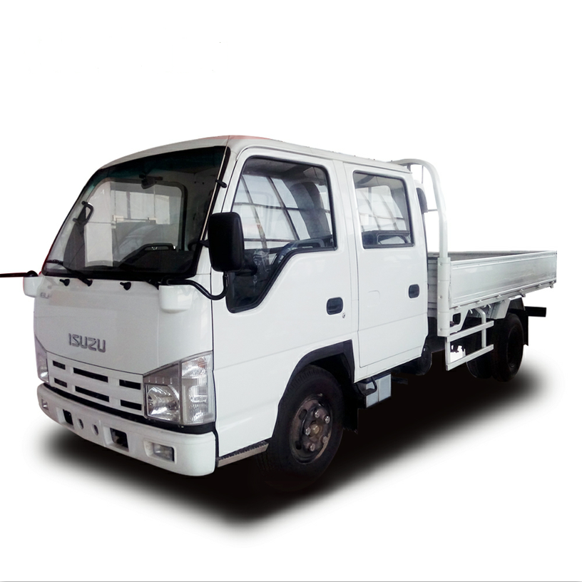 Isuzu NKR 100p