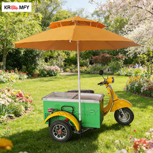 Tricycle électrique pour crème glacée avec cadre en fibre de verre, chariot alimentaire portable pour friandises glacées et sucettes italiennes, chariot à pousser à la main - Product Image 1