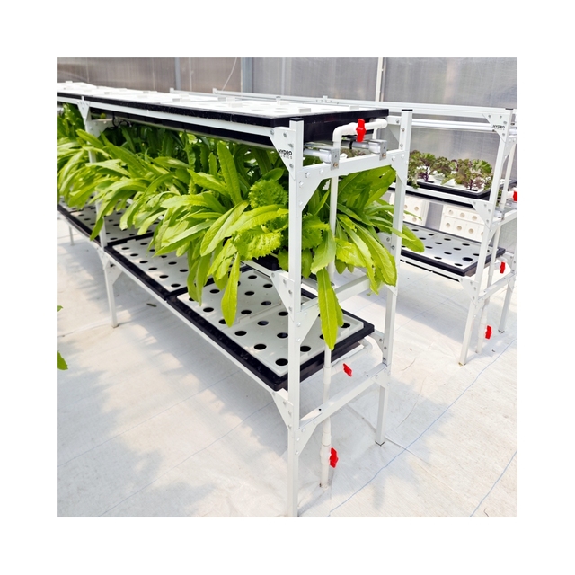 Hydroponic DWC Indoor Multi-layer Hydroponic System With Lights Plastic Floating Tray Growing Kit for Greenhouse Lettuces Fruit