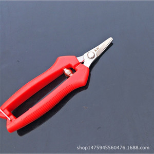 กรรไกรตัดแต่งกิ่งเพชร 60 มม. สแตนเลส หัวตรง ด้ามพลาสติก โครงสร้างแบบผีเสื้อ - Product Image 5