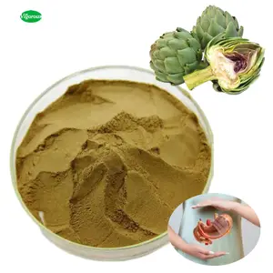 100% Natural Health Ingredient Cynara scolymus L Extract 5%cynarin Artichoke Extract