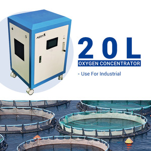 Generador de Oxígeno de Gran Flujo 220V 20L con Carcasa Metálica, Nuevo, Suministro de Fábrica AERTI, Máquina Industrial OEM - Product Image 2