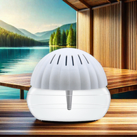 Diffuseur d'huiles essentielles ultrasonique double humidification H2O Mini pour intérieur/extérieur, humidificateur d'air USB pour maison et voiture