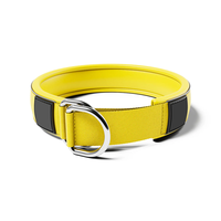 Collier de chien en nylon durable avec boucle en métal Collier rembourré confortable pour toutes les races Offre Spéciale accessoires pour animaux de compagnie