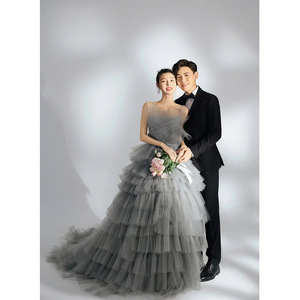 Elegant Gray Tulle Ball Gown Wedding Dress Strapless Natural Waist Long Train Studio Photography Outfit - Product Image 5