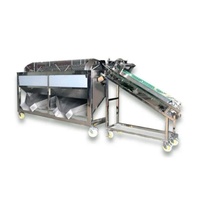 Peau de grain de café frais cassant décorticage Machine à éplucher les grains de cacao décortiqueur éplucheur pulpeur