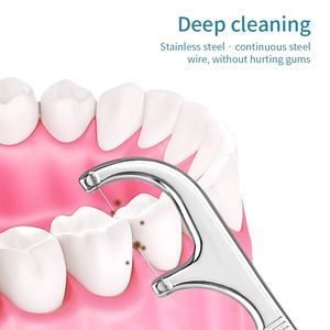 Dent soie dentaire cure-dents réutilisables Portable cure-dents soie dentaire nettoyage Oral ensemble de cure-dents en acier inoxydable - Product Image 2
