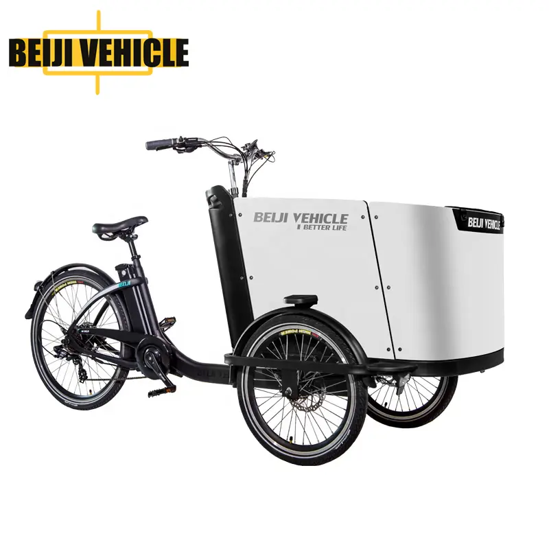 CE approved family used 3 wheels cargo bikes with rear motor for sale