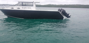 Bateau de pêche <span class=keywords><strong>en</strong></span> aluminium de 32 pieds pour le loisir et le style de vie, grand yacht de croisière avec cabine de repos, hublots et réservoir de carburant de 500 L - Product Image 5