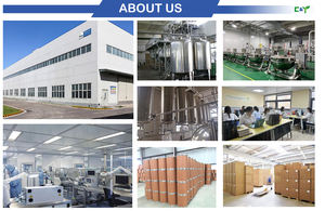 Fabrika kaynağı yüksek kalite 2.5% saf karayılan otu özü Triterpenoid Saponins karayılan otu özü - Product Image 6