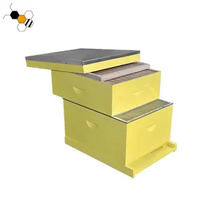 Лангстрот окрашенный пчелиный улей, пчелиный бокс, 10 каркас, деревянный ящик для ульев