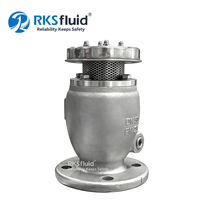 Válvula de Liberación de Aire Automática de Alto Rendimiento Personalizada, de Hierro Dúctil, de Una o Dos Orificios, para Sistemas de Agua y Alcantarillado, PN16 PN25 OEM