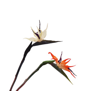 2025 nuovo paradiso degli uccelli 63CM arancio blu vero tocco fiori artificiali disposizione decorazione della casa - Product Image 4