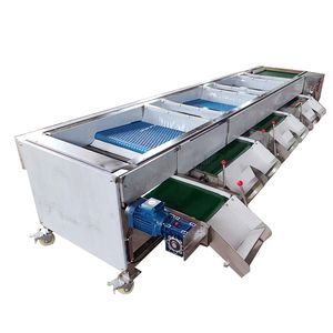 High Efficiency Cherry Blueberry Sorting and Grading Machine <b>Cranberry</b> Peanut Sorter Grader Machine - Product Image 2