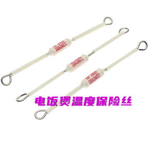 ฟิวส์เซรามิกสำหรับหม้อหุงข้าว RF250V 10A 15A 20A 165 185 216 230 240 องศาเซลเซียส ฟิวส์นิรภัยแบบหลอดแหลม - Product Image 5