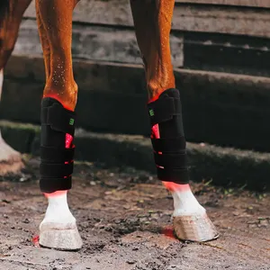 Terapia de caballo de luz roja equina envuelve terapia de piernas de bota para terapeutas deportivos Veterinarios