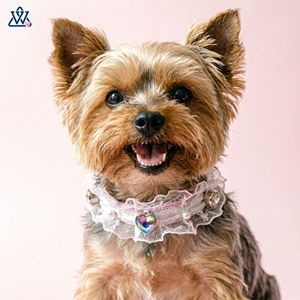 Wangwuwu Lace Pet Collar With Heart Rhinestone For Small <b>Dogs</b> And Cats Elegant Jeweled Neck Collar White Color - Product Image 3