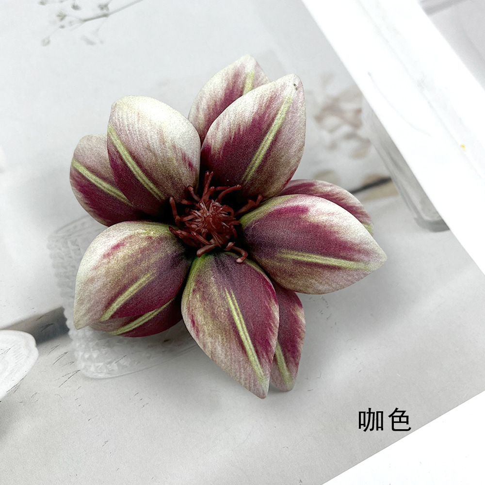 สองชั้น - สีน้ำตาล
