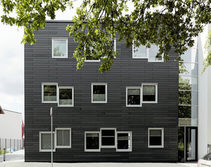 Panel de fachada de tablero de fibrocemento negro certificado CE para construcción de villas - Product Image 3